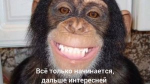 ВСЁ ТОЛЬКО НАЧИНАЕТСЯ, ВСЕ ОТВЕТЯТ ЗА СВОИ СЛОВА