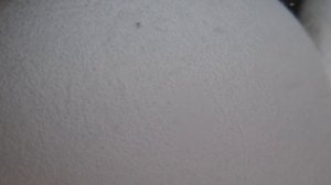 яйцо дышит🤣