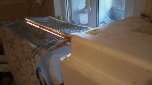 Всех с праздником! А инкубация продолжается. Куры решили стать наседками.Куда мне столько.