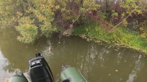 🔺️🎣ОКУНЬ🎣🔺️fishing#туризм#природа#ловля#рыбалка#щука#ловлящуки#ночевка#Чулым#река#спиннинг