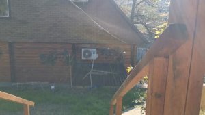 СОЧИ ГОРНОЕ ЛОО УТРО 12.04.2026