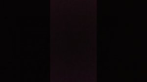 Я НА РОЛИКАВЫХ КОНЬКАХ!