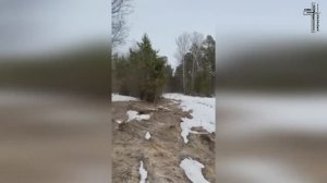 СВЯТОСТЬ / МОЛИТВА В ЛЕСУ 🙏🏻