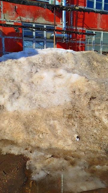 Весна в Самом Разгаре Скоро Рыбалочка