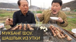 Необычный вкус утки, утиные шашлычки на углях на открытом огне - Mukbang шоу еды