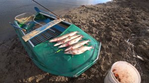 ЩУКА ВЗБЕСИЛАСЬ. КАЖДЫЙ ЗАБРОС! РАССТРЕЛ силикона! Ловля щуки на спиннинг весной!