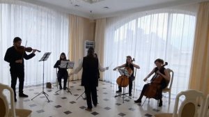 Василиса Горочная - Пеликан и Роза (2 часть, Адажио), переложение для струнных