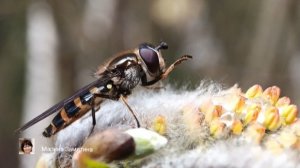 Экотерапия 80 серия.