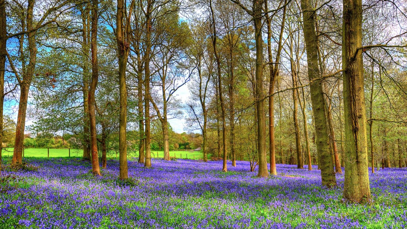 Стрим 📹 Суббота - Руся AND Пипа IN Amerika - Новые Видосы!!!!!!!!)