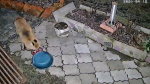 Ночное самообслуживание