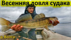 ВЕСЕННЯ ЛОВЛЯ СУДАКА/СПИННИНГ/СУДАК/ДЖИГ/ВЕСНА 2026/РЕКА ВОЛГА/РЫБАЛКА В САМАРЕ/ЛОВЛЯ РЫБЫ/РЫБАК 87