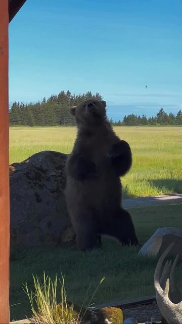 Телесные практики 🐾 😂