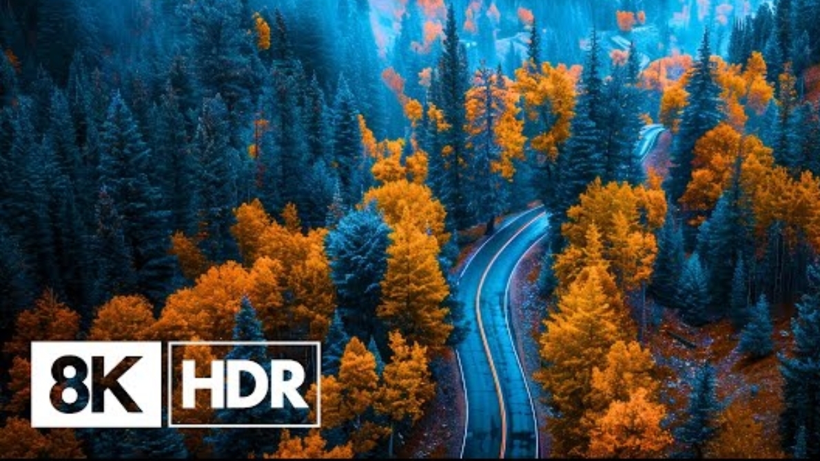 🦜💎 Планета в ультра-HDR: Каждая шерстинка, каждый лист