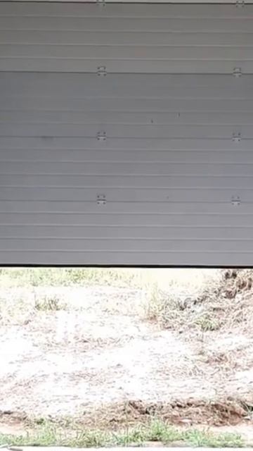 НП и ворота