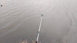 Сегодня порыбачил на короткую удочку🎣 Насадка тесто, прикормка дробленка. Клёв вялый.