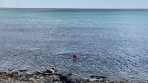 12.04.2026 Анапа с празником