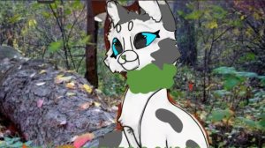 Кусок моего мапа не весь!