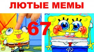 Лютые мемы. Живи как Спанч Боб