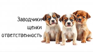 Воскресный стрим