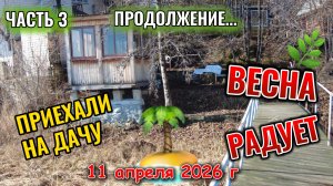 Уехали на дачу 11 апреля 2026 г часть 3