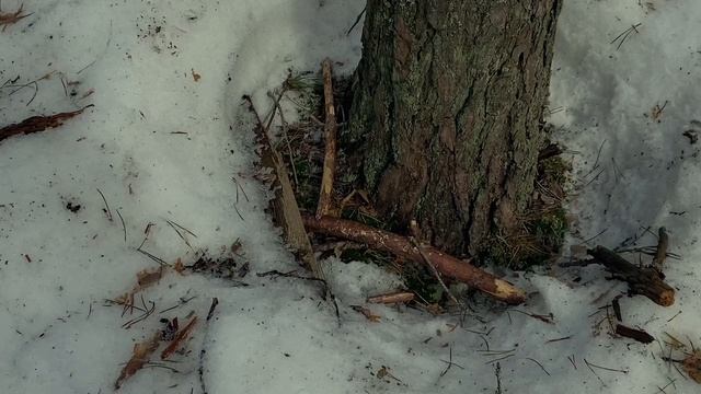 Некрасова Виктория. Июль - апрелю М. Цветаева