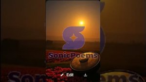 Сергей Есенин — Свет вечерний шафранного края (вар1)