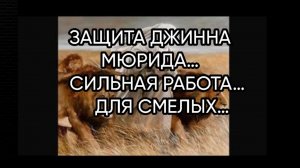 ЗАЩИТА ДЖИННА МЮРИДА…СИЛЬНАЯ РАБОТА…ДЛЯ СМЕЛЫХ…