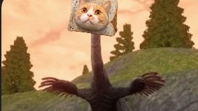 Обычный спавн за орни💭