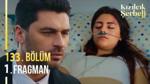 «Клюквенный щербет» 133 серия. Дога возвращается?