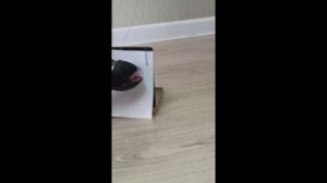 Йоська (марионетка)