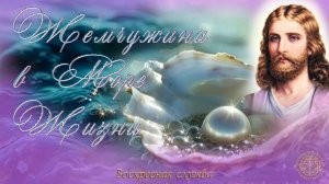 Воскресная служба "Жемчужина в Море Жизни"