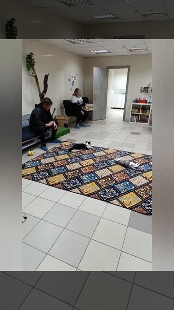 Христос Воскресе! ✨
Поздравляем со светлым праздником Пасхи. Как же ценно проводить такие дни