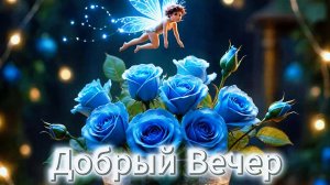 Добрый вечер: красивые пожелания доброго и спокойного вечера | Домохозяйка Ната