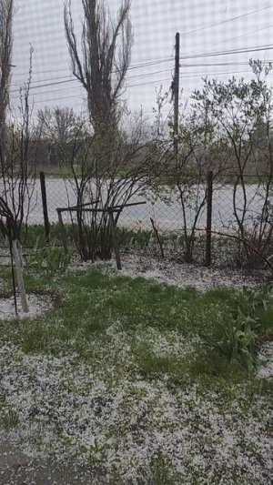 Град в Волгограде