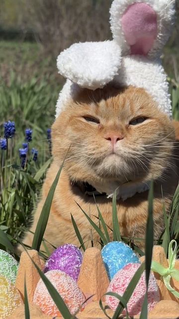 Со светлым праздником вас друзья, пусть в вашем доме будет только мир и покой 🙏