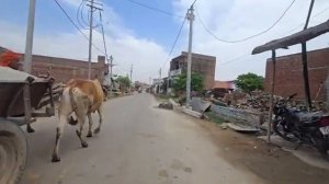 Простая жизнь в Индии.