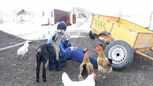 В нашем хозяйстве появился новый житель//Переделываю прицеп к мотоблоку//