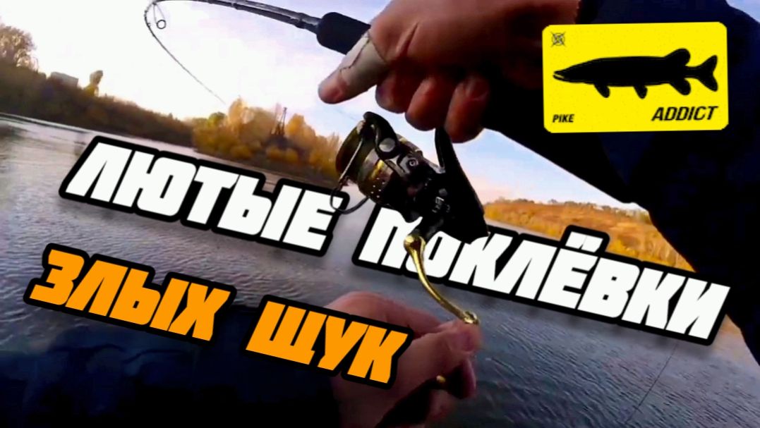 Лютые поклёвки злых щук. Попал на осенний жор крупных щук