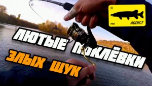 Лютые поклёвки злых щук. Попал на осенний жор крупных щук