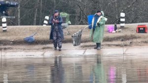 Поимки форели !!!