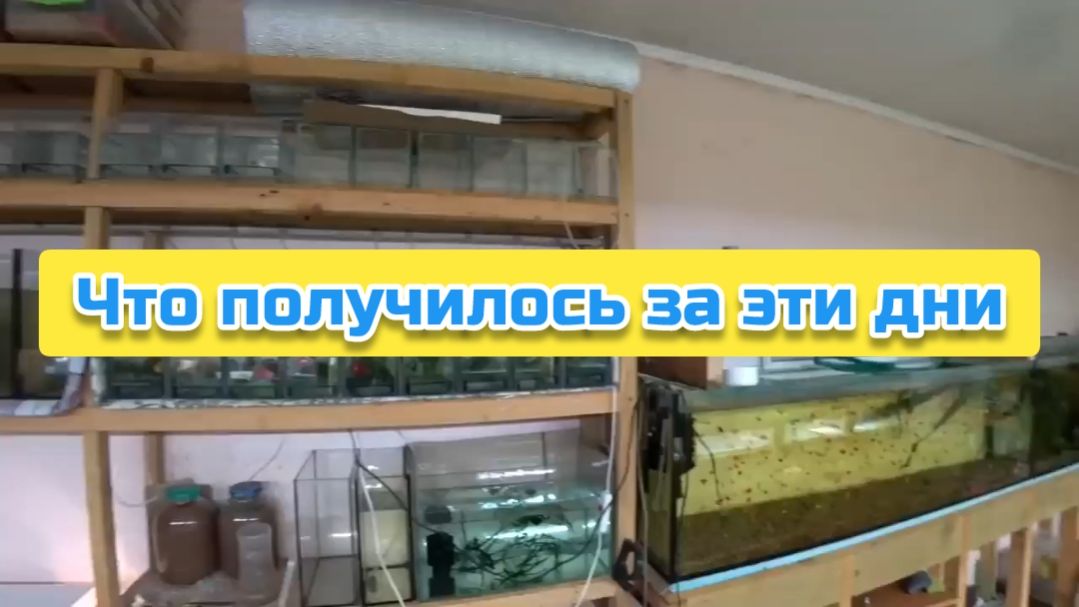 Что получилось за эти дни