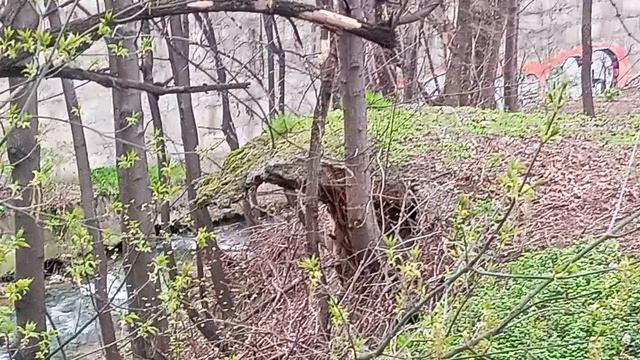 Кисловодск. Ремонт пр. Первомайский. 11.04.2026 г.