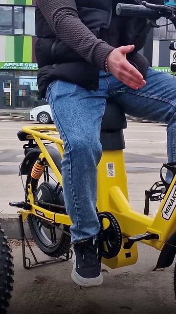 Как выбрать электровелосипед для работы или перевозки грузов