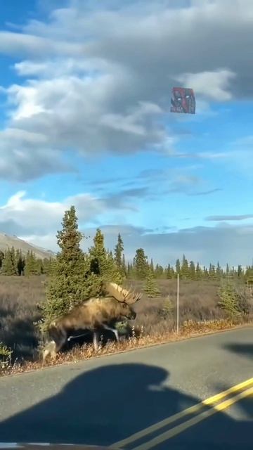 У  М Е Н Я  П Р О С Т О  Н Е Т  С Л О В❗😎🫶😼