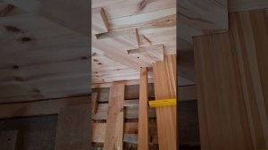 1000055775.mp4 (Собака наблюдает за устройством лестницы на 2-ой этаж в доме А-фрейм)