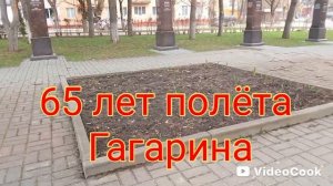 Тюльпаны ожили
