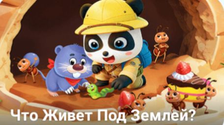 Панда. Бейби бас. Школьный автобус. Кто живет под землей. Для детей. ч 22