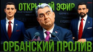 ЧАПЛЫГА : Венгрия решает судьбу Европы: Орбан vs Мадьяр — всё, что нужно знать