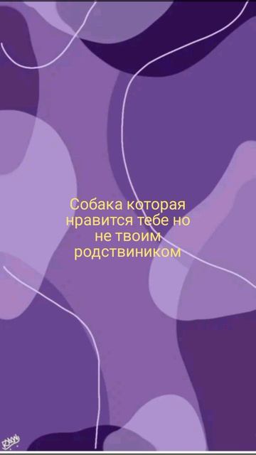 тренд на собачника