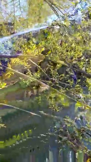 Доброе утро